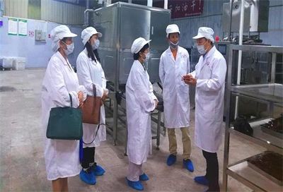 重庆大足区委深入调研食品产业创新发展